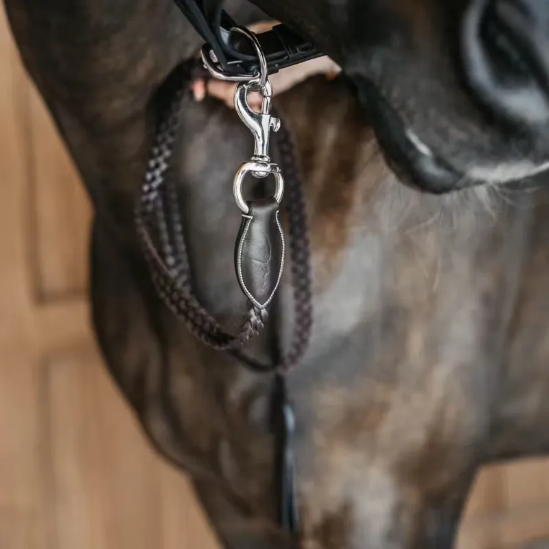 Dy'on Plaited Lead Rope - Brown-3