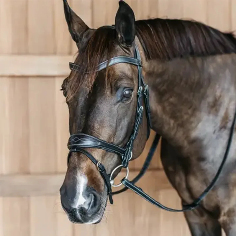 Dy'on Working Motion Bridle - Black-4