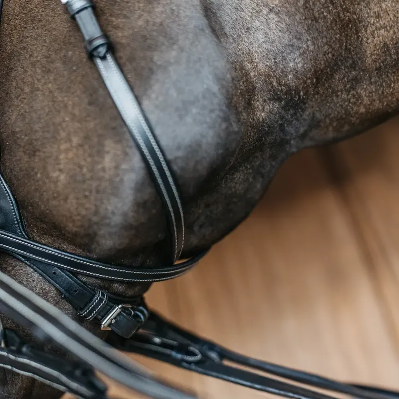 Dy'on Working Motion Bridle - Black-3