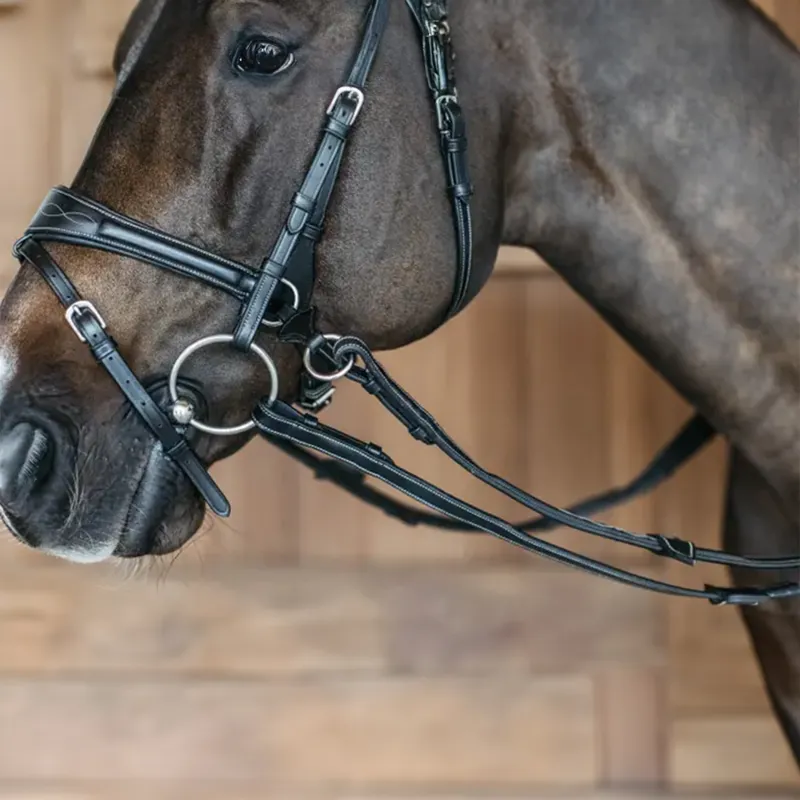 Dy'on Working Motion Bridle - Black-2