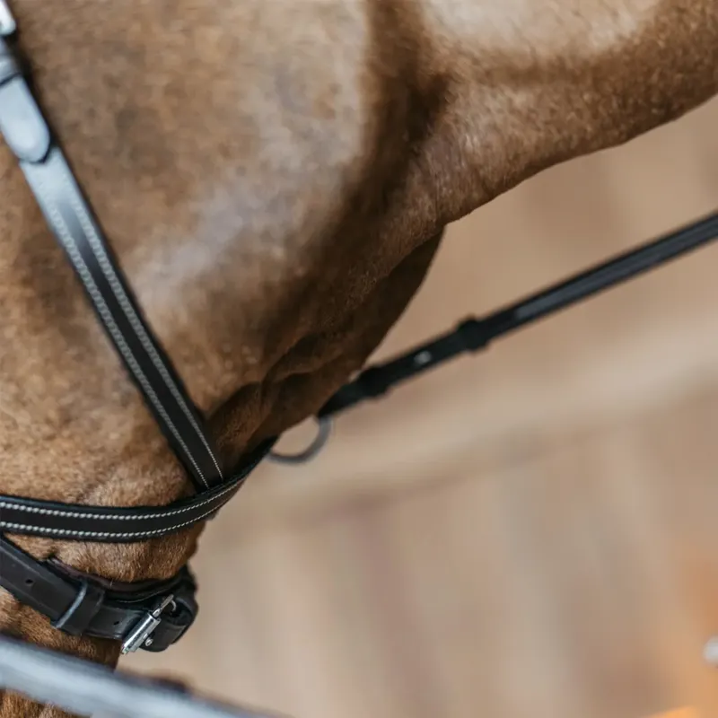 Dy'on Working Motion Bridle - Brown-6