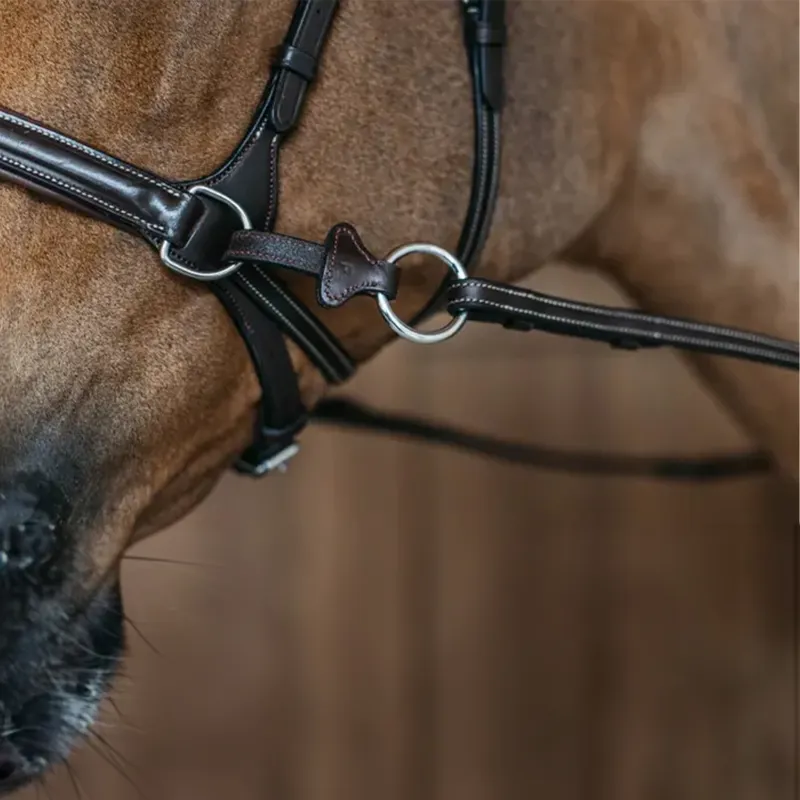 Dy'on Working Motion Bridle - Brown-5