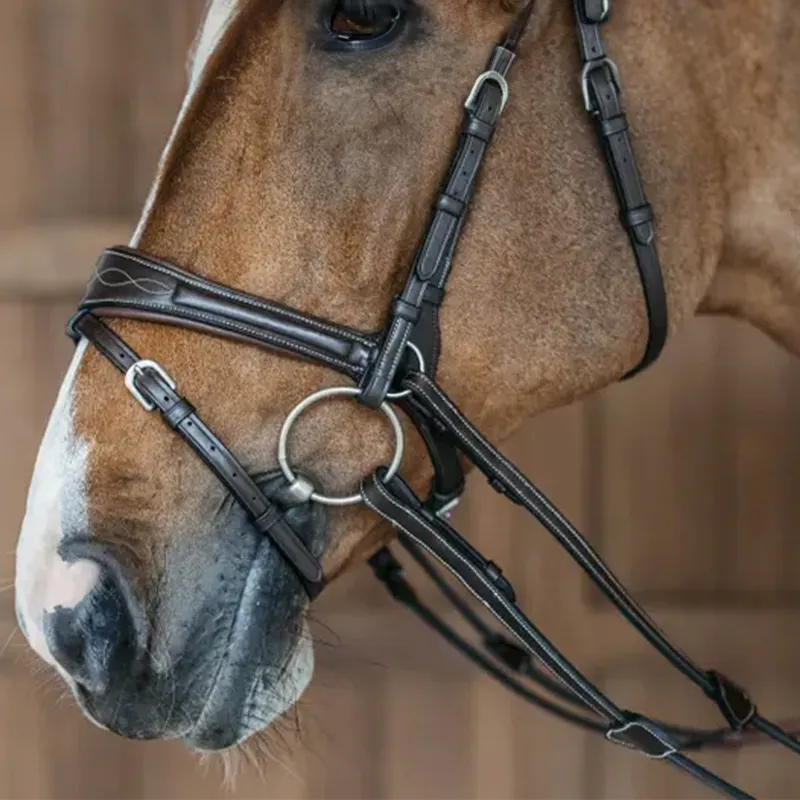 Dy'on Working Motion Bridle - Brown-4