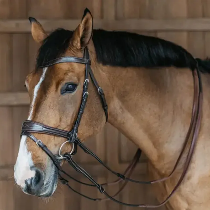 Dy'on Working Motion Bridle - Brown-3