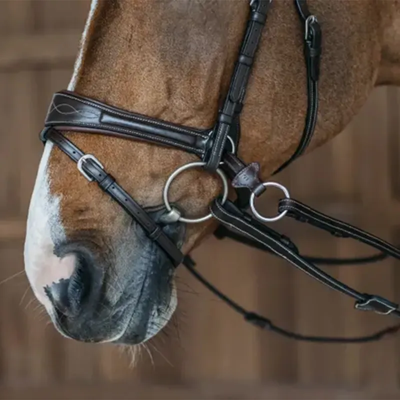 Dy'on Working Motion Bridle - Brown-2