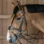 Kentucky Dy'On Working Motion Bridle - Brown