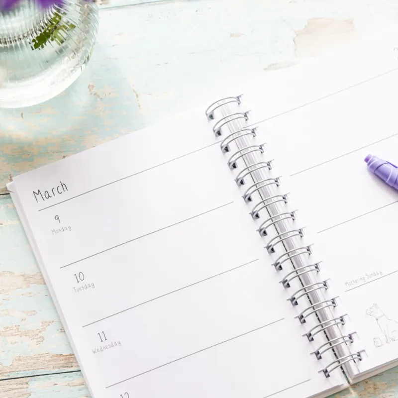 Emily Cole 2026 A5 Ringbound Diary-1