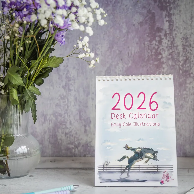 Emily Cole 2026 Desk Calendar-1