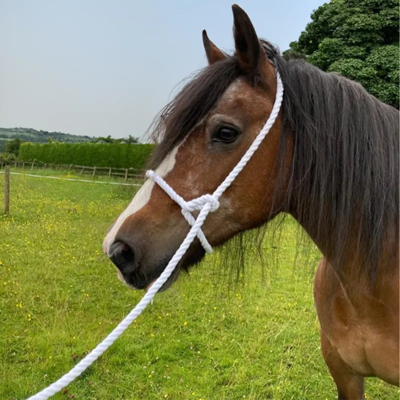 Elico Adjustable Rope Show Halter - White-2
