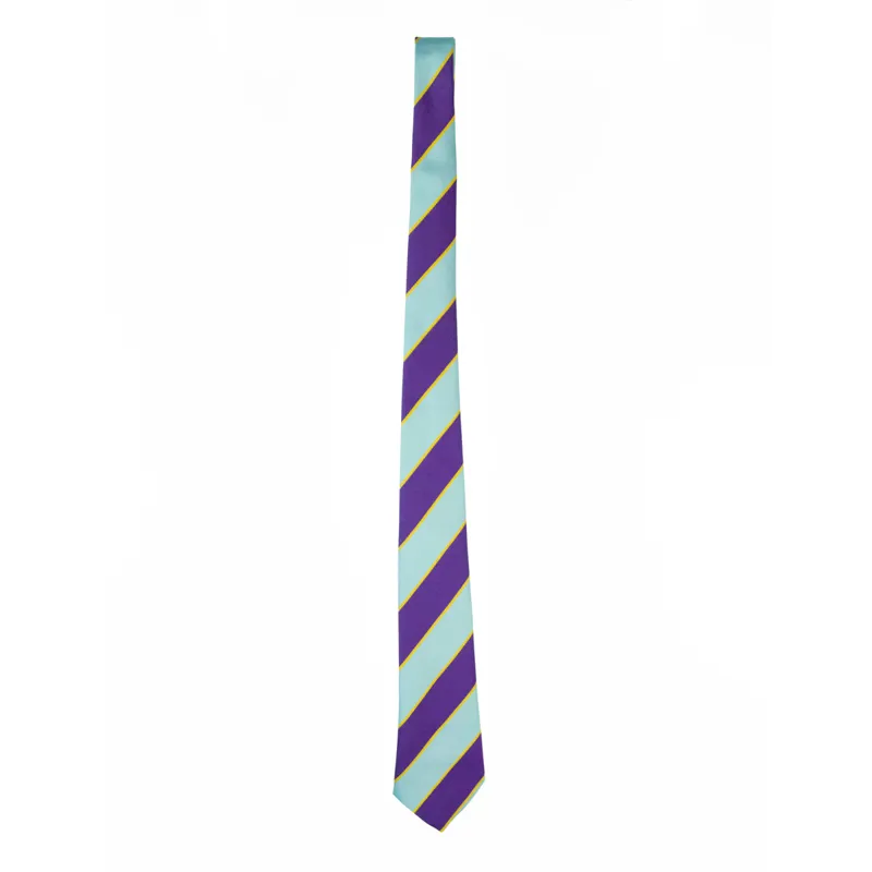 Elico PC Striped Show Tie - Sky Blue/Purple/Gold