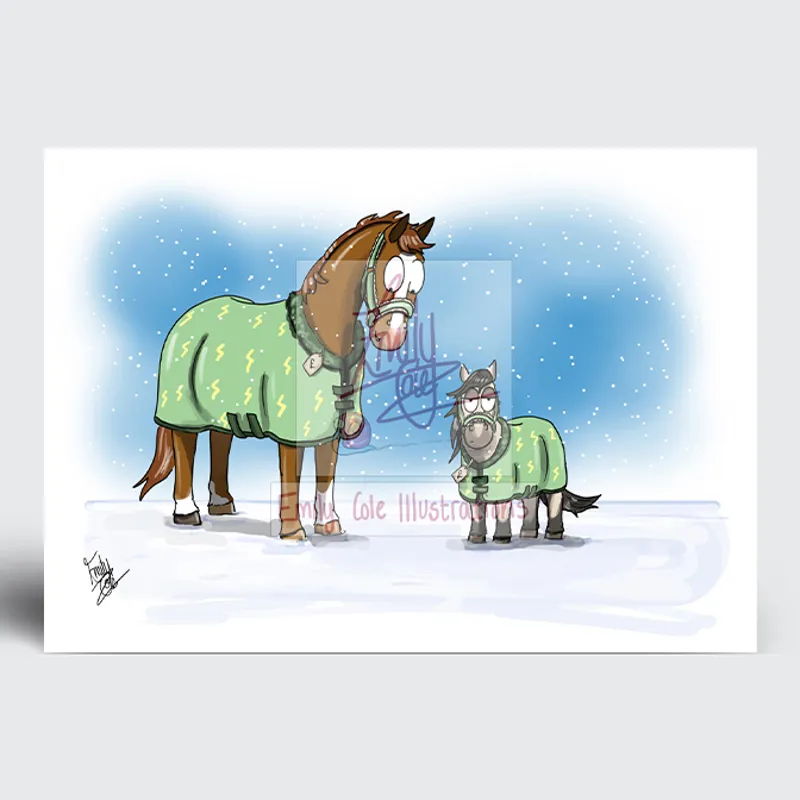 Emily Cole Christmas Cards - 10 Pack-2