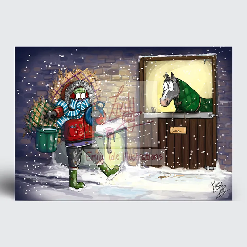 Emily Cole Christmas Cards - 10 Pack-7