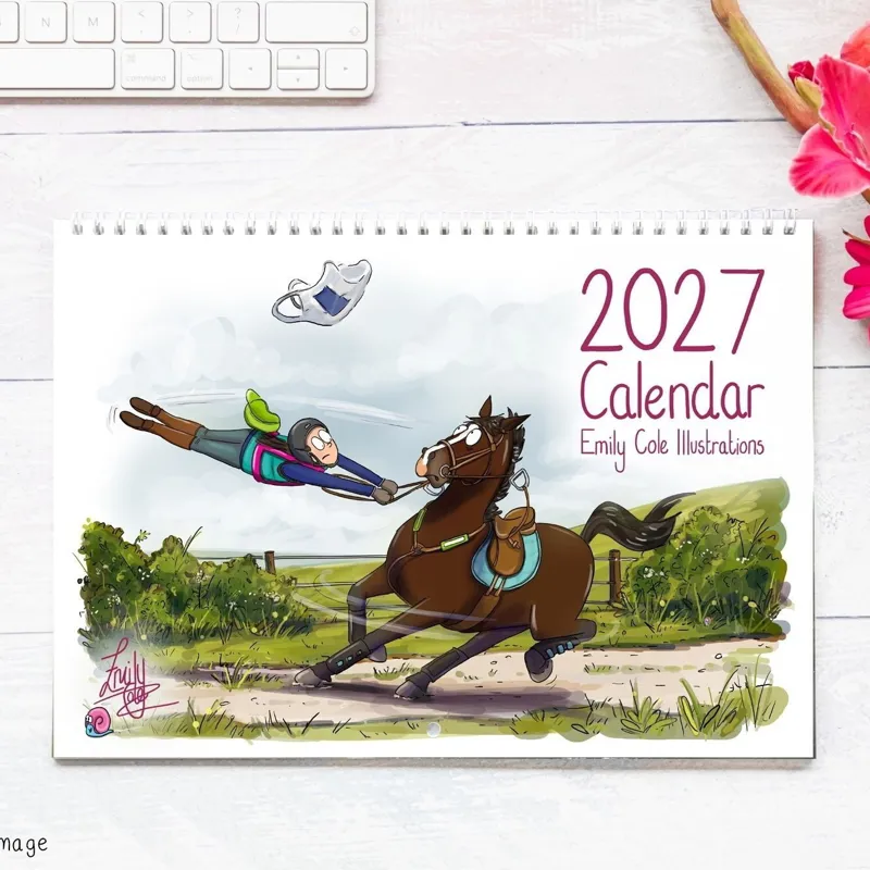 Emily Cole 2027 Wall Calendar Pre-Order