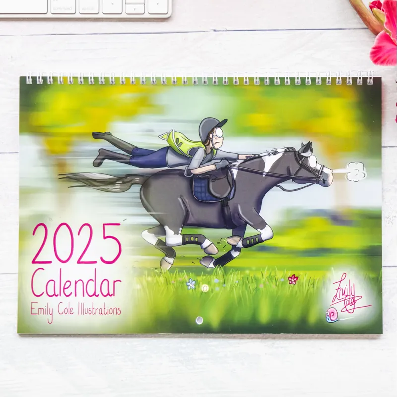 Emily Cole 2025 Wall Calendar
