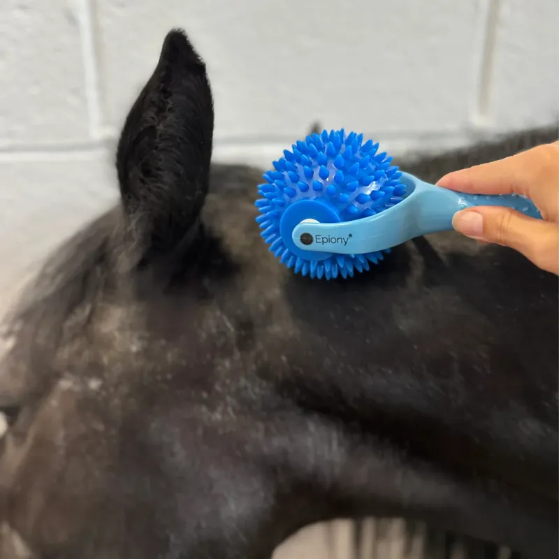 Epiony The Spiky Massage Ball - Blue-1