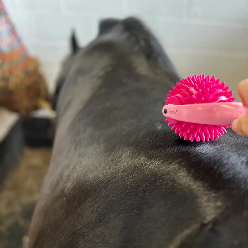 Epiony The Spiky Massage Ball - Pink-1