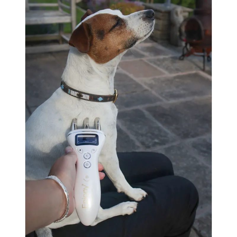 Epiony Thermal Wand - TRIAL-4