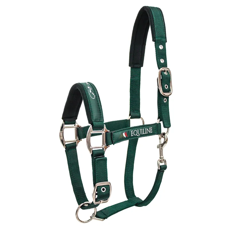 Equiline Timmy Headcollar - Bottle Green