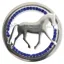 Equetech Dressage Provincial Stock Pin - Silver/Blue