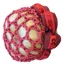 Equetech Fusion Scrunchie with Bun Net - Red