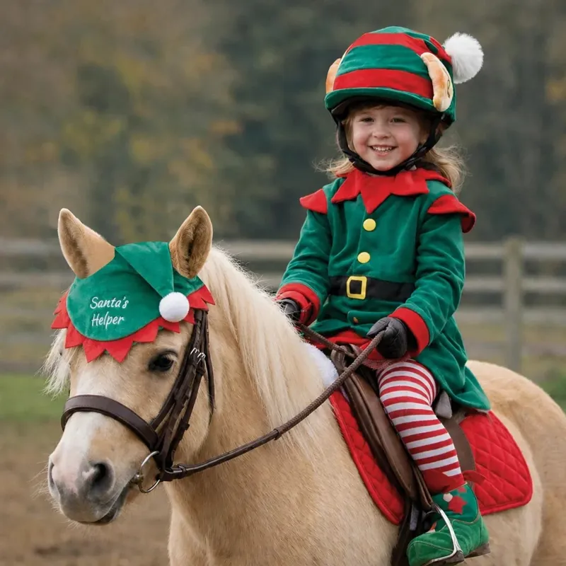 Equetech Christmas Hat Silk - Elf Hat-2