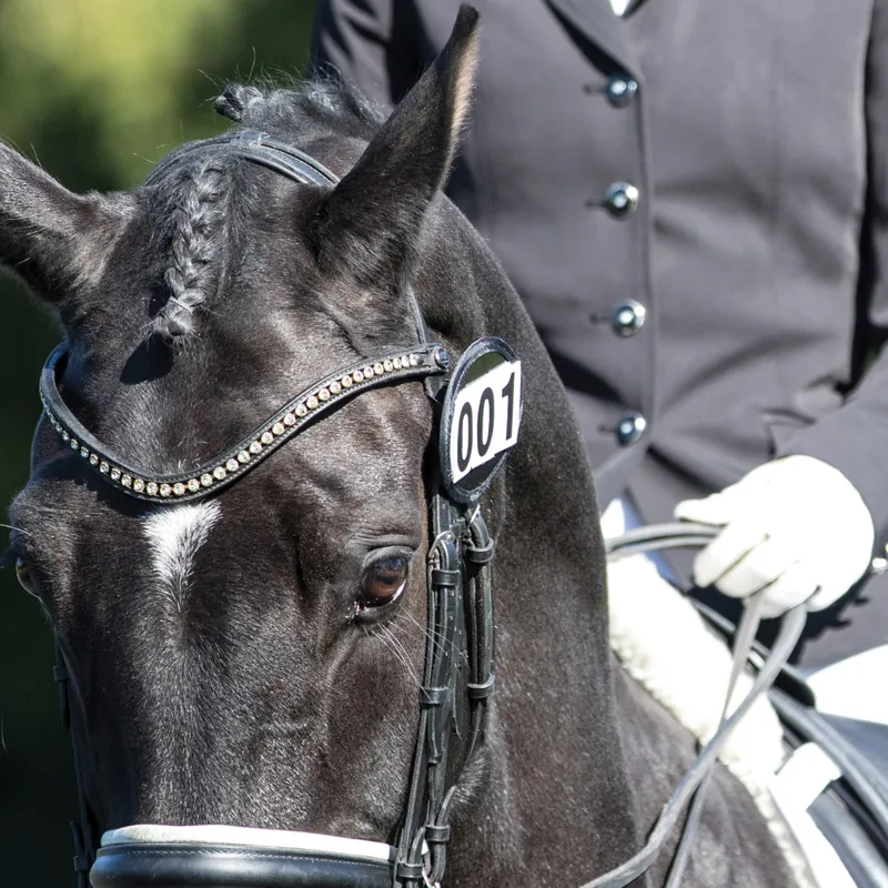 Equetech Bridle Number Holders Pair - Black