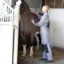 Equetech Pro-Clip Unisex Coveralls - Grey