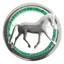 Equetech Dressage Provincial Stock Pin - Silver/Green