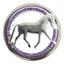 Equetech Dressage Provincial Stock Pin - Silver/Purple