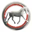 Equetech Dressage Provincial Stock Pin - Silver/Red