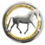 Equetech Dressage Provincial Stock Pin - Silver/Yellow