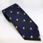 Equetech Stars Adult Show Tie - Navy/Gold