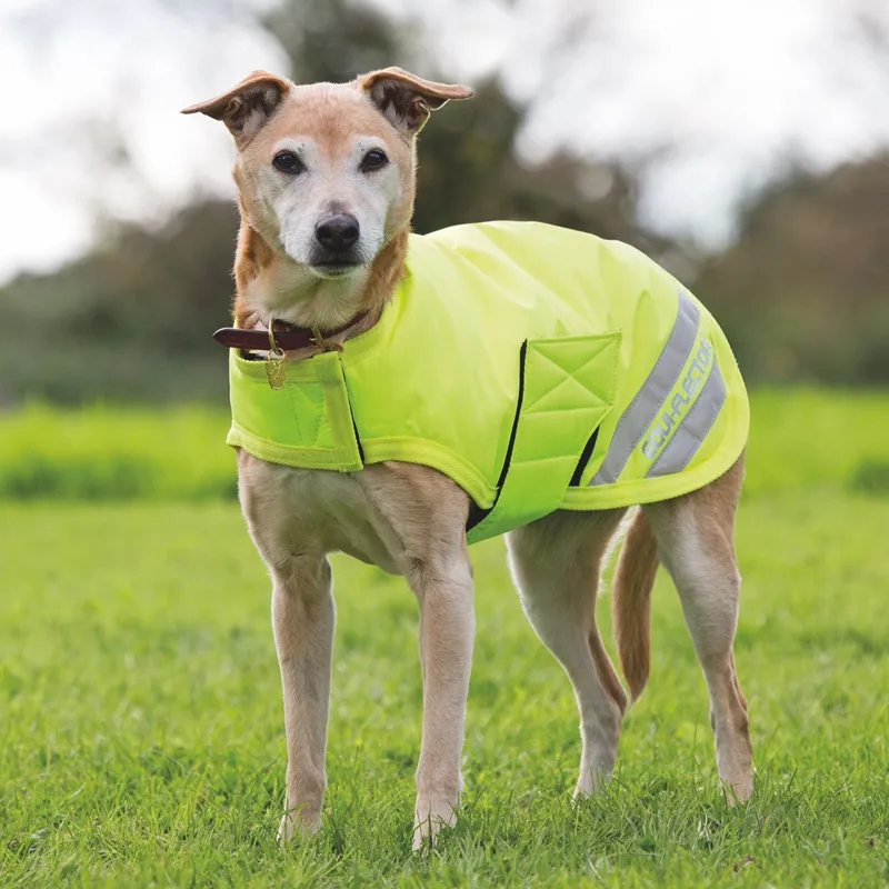 EQUI-FLECTOR Waterproof Dog Coat - Yellow