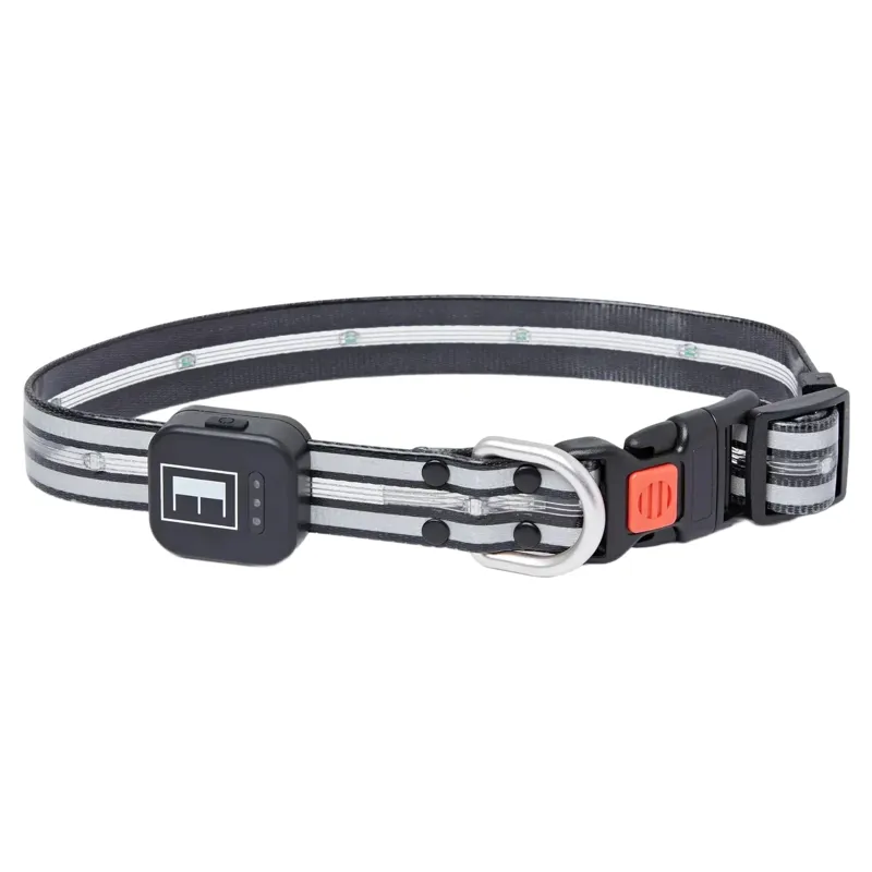 Equi Light LED Rechargeable Dog Collar - Black
