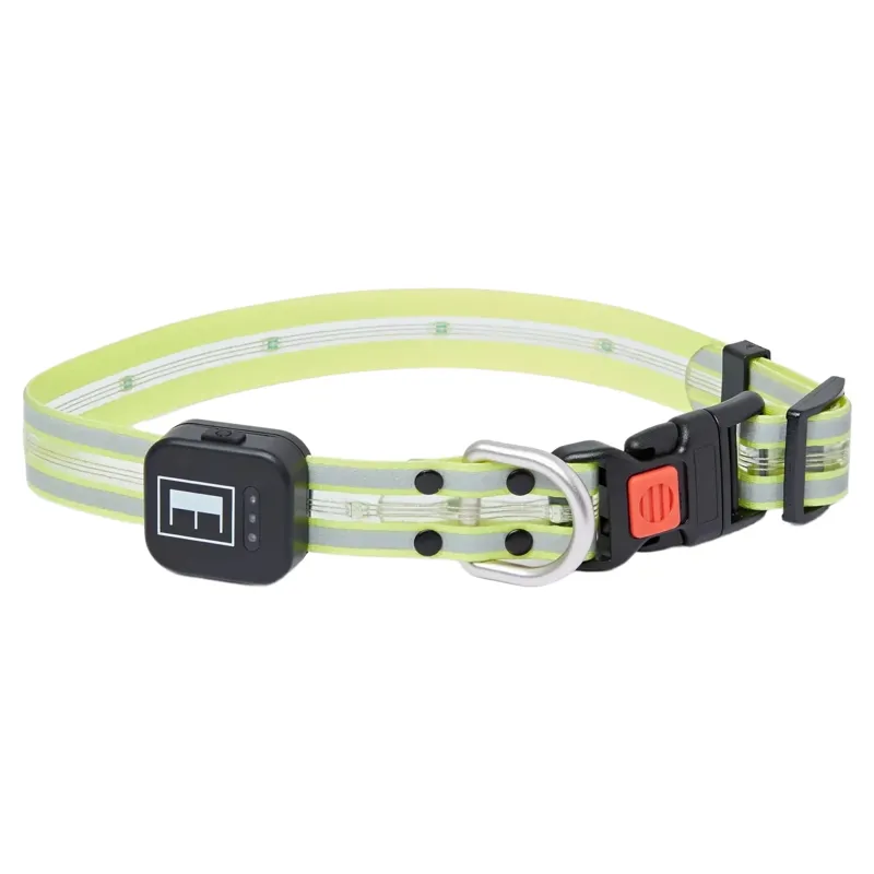 Equi Light LED Rechargeable Dog Collar - Yellow-1