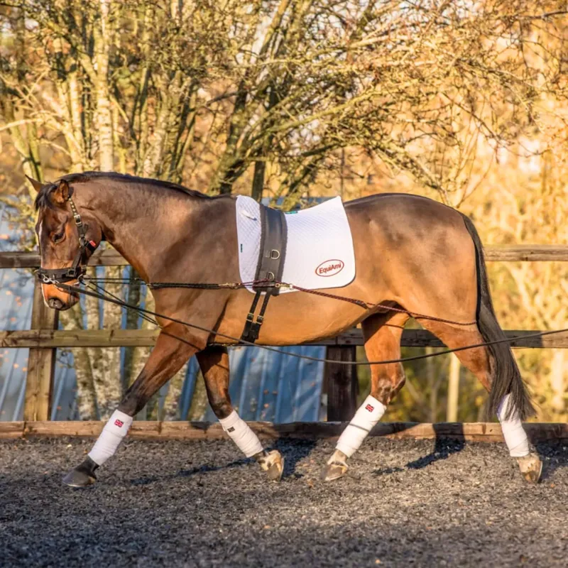 EquiAmi Combi Aid Kit - TRIAL-1