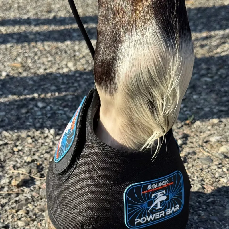 eQuick THERA PEMF Therapy Bundle - Black-7