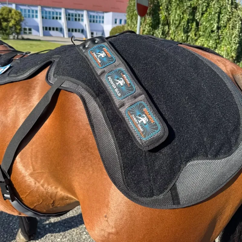 eQuick THERA PEMF Therapy Bundle - TRIAL-5