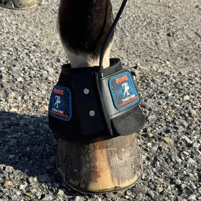 eQuick THERA PEMF Therapy Bundle - TRIAL-6