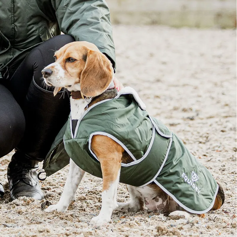 EQUIDRY Waterproof Dog Coat - Black Forest Green/Grey
