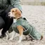 EQUIDRY Waterproof Dog Coat - Black Forest Green/Grey
