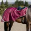 EQUIDRY Waterproof Thick Fleece Lined Exercise Sheet - Plum/Grey