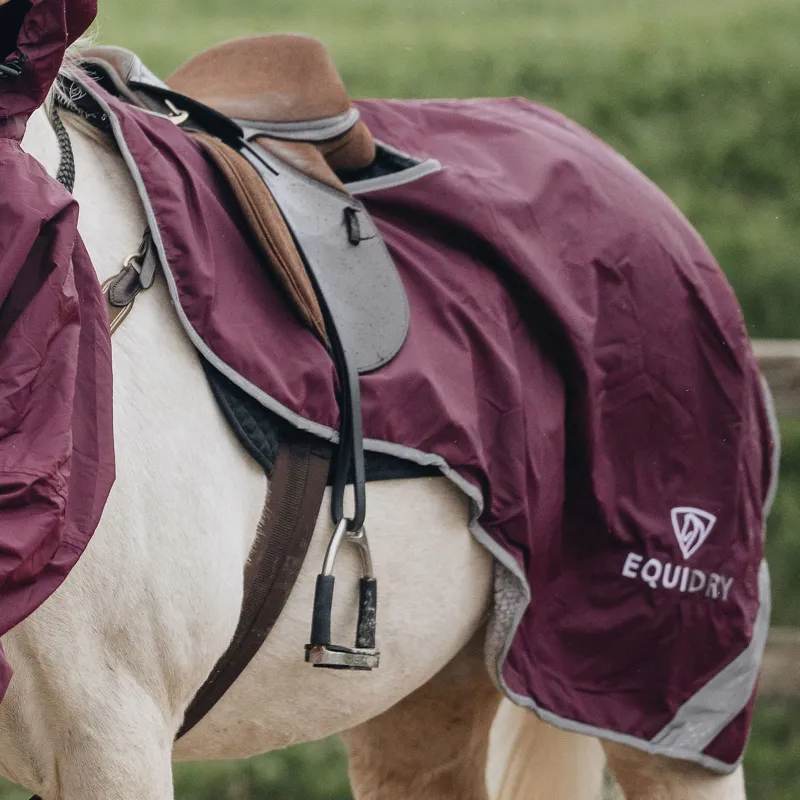 EQUIDRY Waterproof Thick Fleece Lined Exercise Sheet - Plum/Grey-1