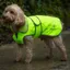 EQUIDRY Waterproof Dog Coat - Hi-Viz Yellow