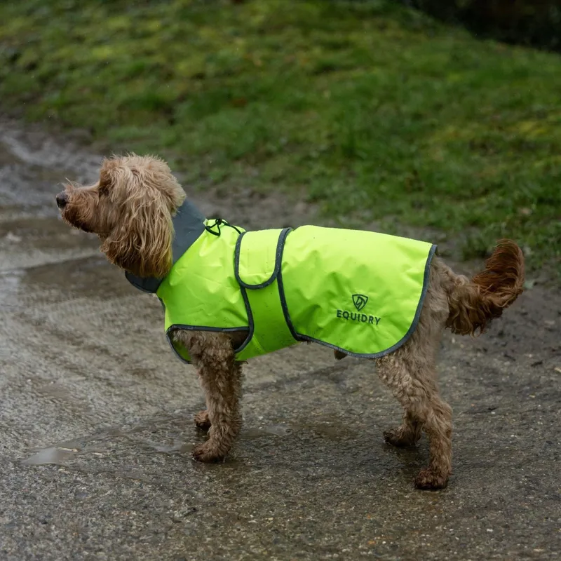 EQUIDRY Waterproof Dog Coat - Hi-Viz Yellow-2