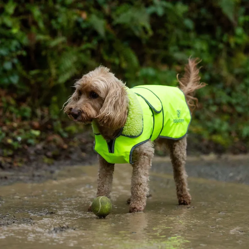 EQUIDRY Waterproof Dog Coat - Hi-Viz Yellow-3