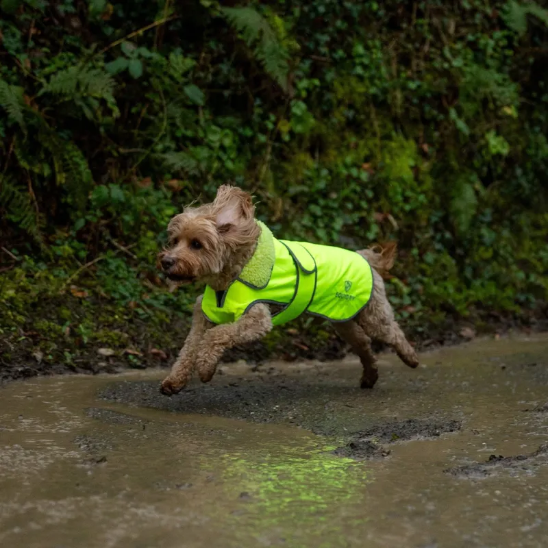 EQUIDRY Waterproof Dog Coat - Hi-Viz Yellow-4