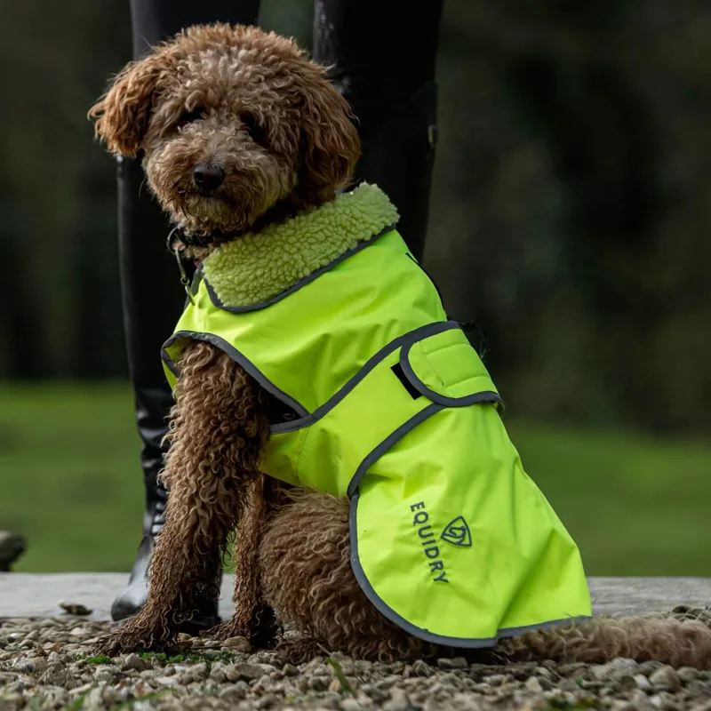 EQUIDRY Waterproof Dog Coat - Hi-Viz Yellow-5