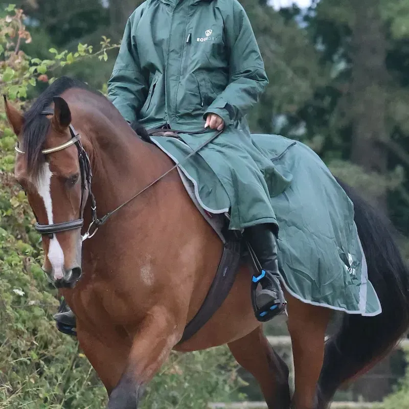 EQUIDRY Waterproof Thick Fleece Lined Exercise Sheet - Black Forest-2