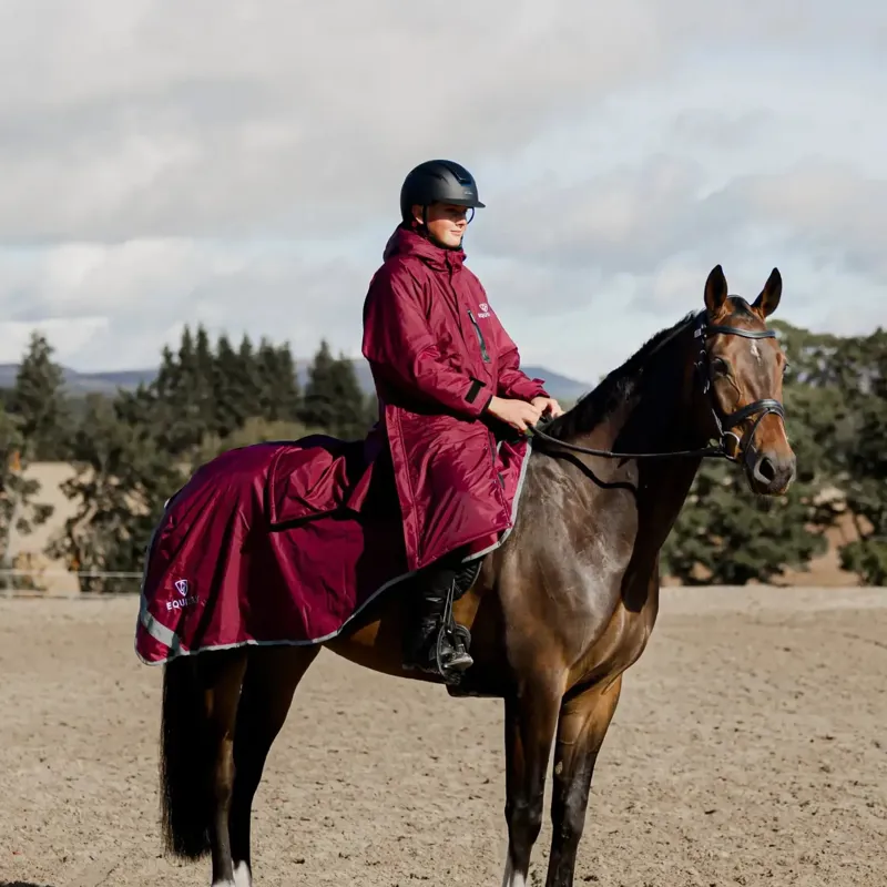 EQUIDRY Waterproof Thick Fleece Lined Exercise Sheet - Plum/Grey-3